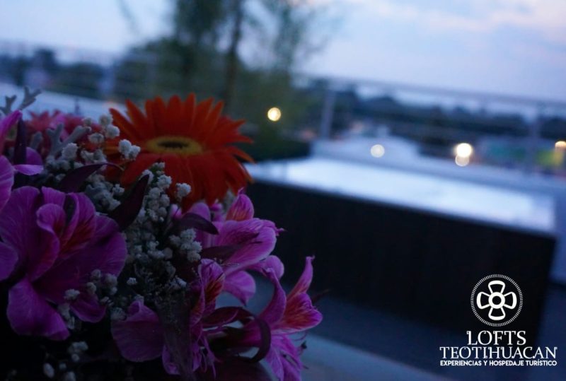 lofts-teotihuacan-10